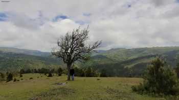 Aşk Vadisi