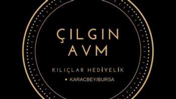 ÇILGIN AVM