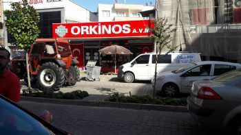 Orkinos