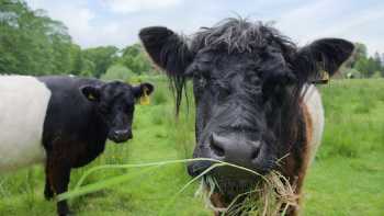 Kilnford Farm Shop & Farmhouse Kitchen Cafe