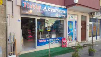 Hobby Akvaryum