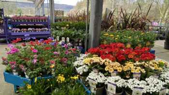 Caulders Garden Centre Erskine