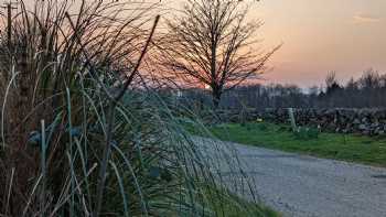 Linburn Farm - Elizabeth Stevenson