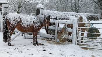 Linburn Farm - Elizabeth Stevenson