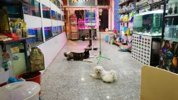 Yamans Petshop