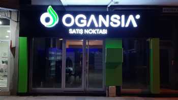 Biga Ogansia 1001 Satış Noktası