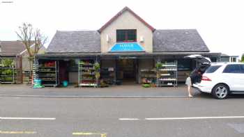 Haylie Stores