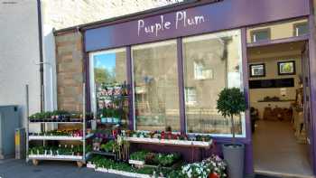 Purple Plum