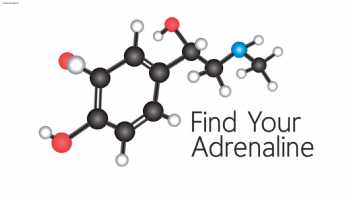 Find Your Adrenaline