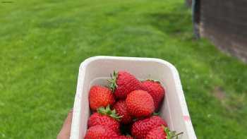 West Friarton Strawberry Shed