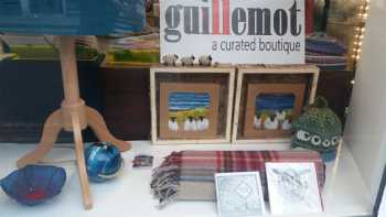 Guillemot