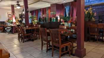 Orchid Thai Cuisine