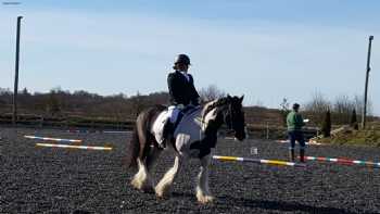 Blue Ridge Equestrian Centre