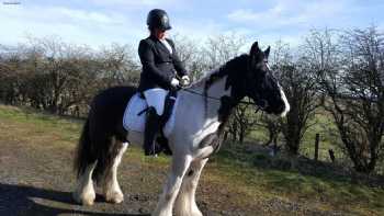 Blue Ridge Equestrian Centre