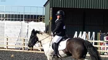 Blue Ridge Equestrian Centre