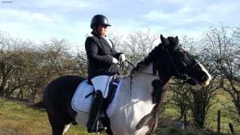 Blue Ridge Equestrian Centre