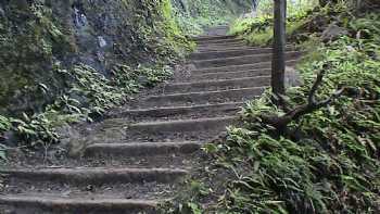 Kalaupapa trail