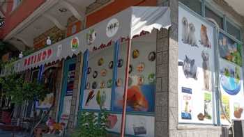 Kargım Petshop