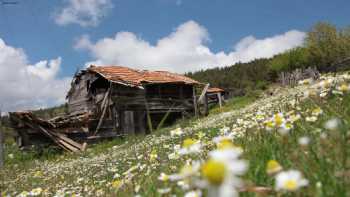 Gölköy Kargı Çorum