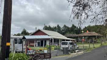 STEWZ BURGERS Haleakala