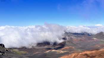 STEWZ BURGERS Haleakala