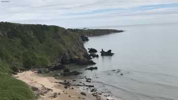 St Cyrus Beach