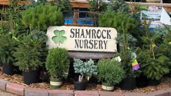 Shamrock Nursery - O'Neill