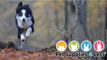 Pet Supplies 4 Less