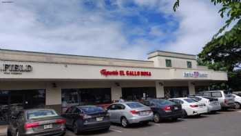 Taqueria El Gallo Rosa