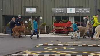 Edenmill Farm Shop, Cafe and Soft Play