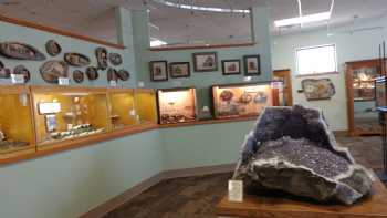 Petrified Wood Gallery