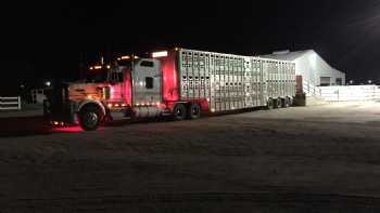 Lloyd Waller Feed Lot Inc