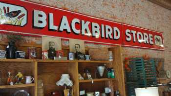 Blackbird Store