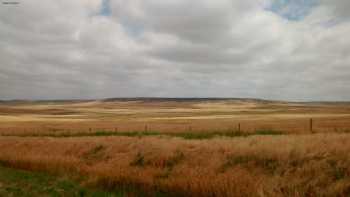 High Plains Feed Yard