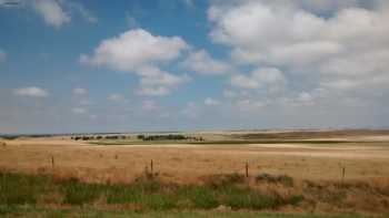 High Plains Feed Yard