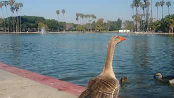 Alondra Aquatic Center