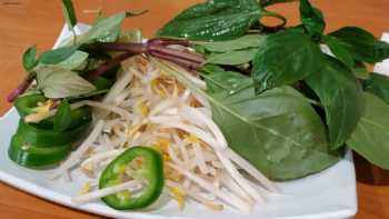 Pho So 1