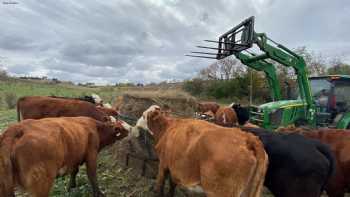 Barreras Family Farm