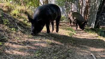 Barreras Family Farm