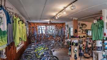 Frog Hollow Bikes