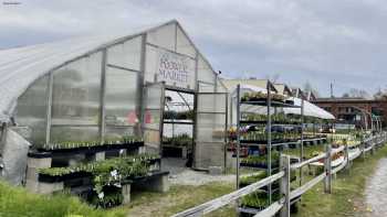 The Flower Market