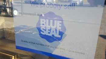 Blue Seal