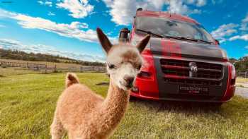 Champlain Valley Alpacas