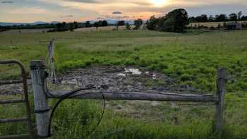 Champlain Valley Alpacas