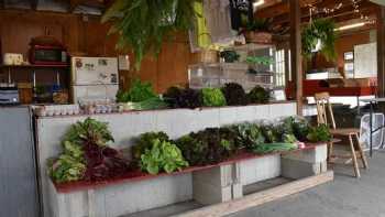 Flander's Farm Stand