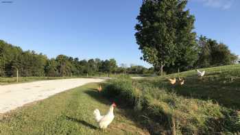 Fat Cow Farm General Store