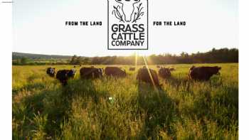 Grass Cattle Company