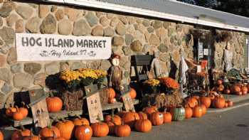 Hog Island Market