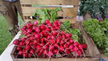 Hardwick Farmers Market