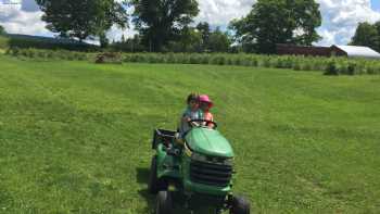 Two Sisters Organic Blueberry Farm